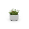 Planter Universe