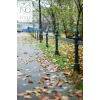 Solo Bollard