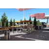 Bus table