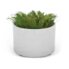 Planter Universe