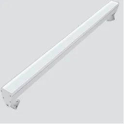 Matrix Floodlight 2803P/NR50VS-Floodlights - Wallwasher Diffuse Emission L. 1146