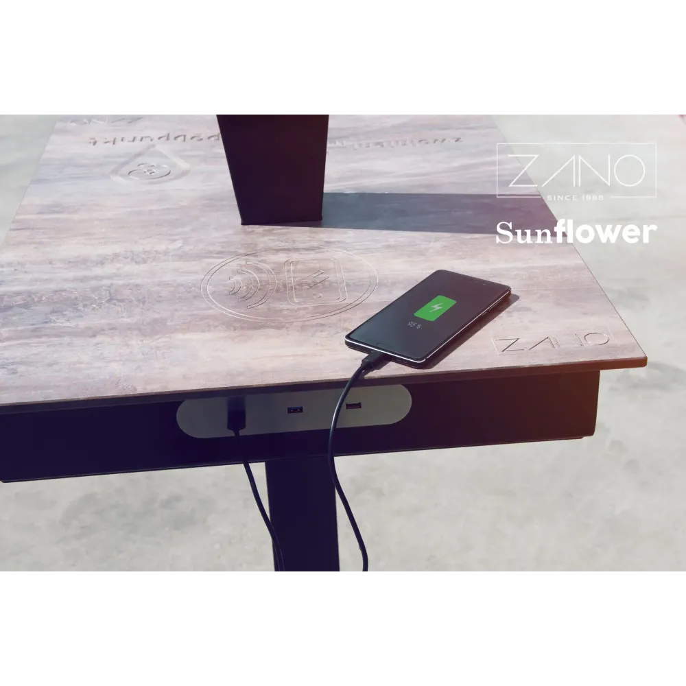 Solar charging station Sunflower