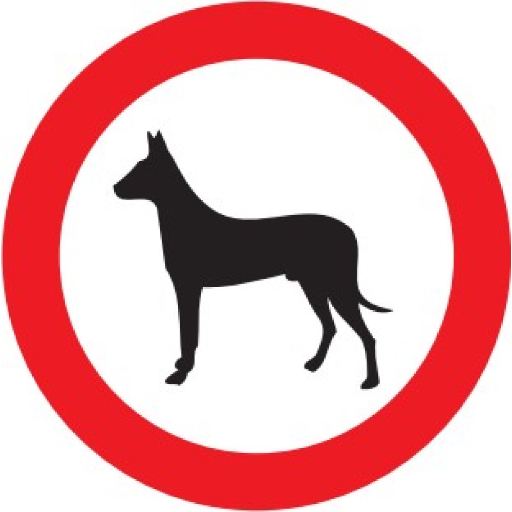 No dogs allowed 2