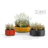Planter Universe