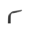 Curve