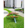 Mars Picnic Table