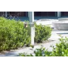 Pavo Litter Bin