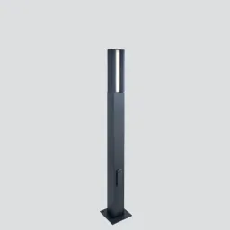 Orion One 492F0/WR50PO-Urban Lighting - Pole 2 Ways H. 2000