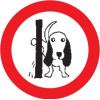 No dog toilet