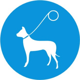 Obligation to keep the dog on a leash