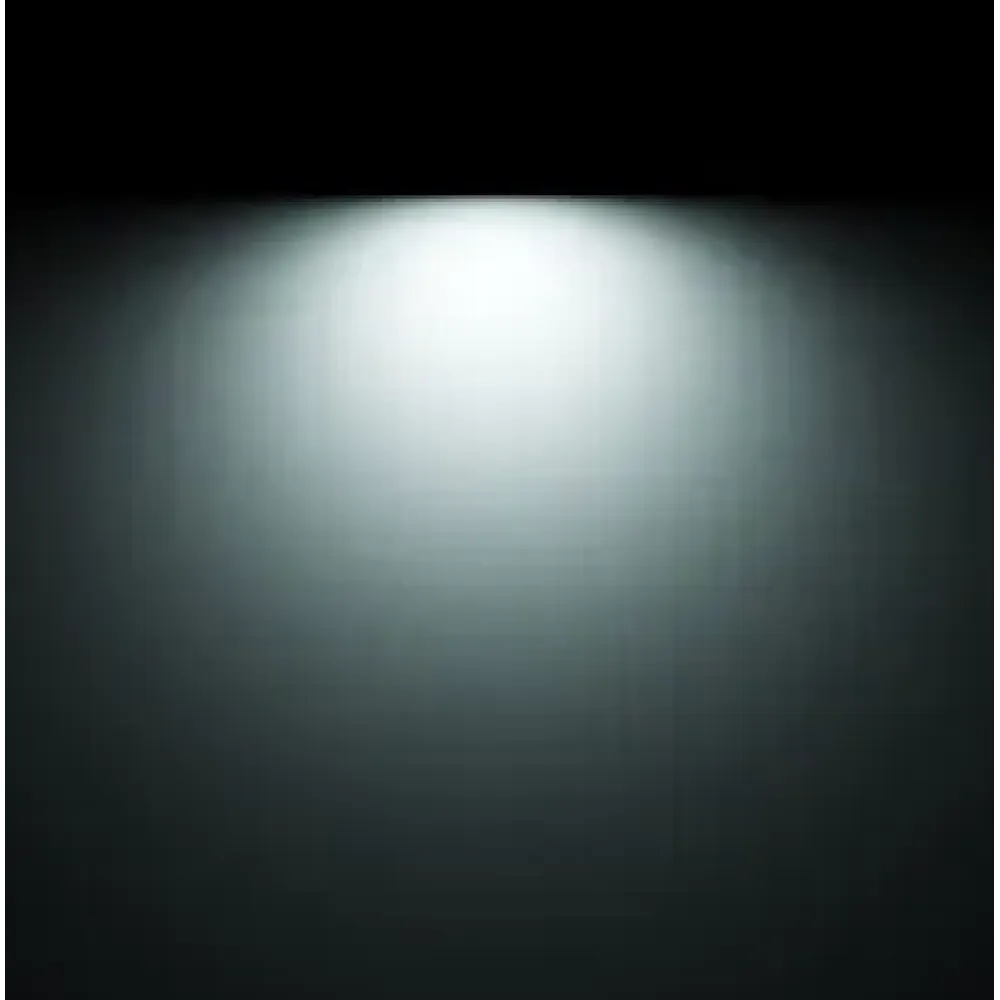 Matrix Floodlight 2803P/WD50VS-Floodlights - Wallwasher DALI Diffuse Emission L. 1146