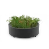 Planter Universe