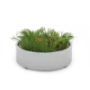 Planter Universe