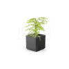 Stilo Planter