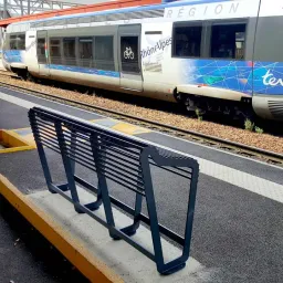 Sit-Stand