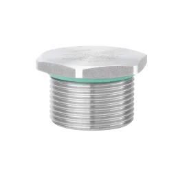 V-INOX-FKM-Ex d (metric)