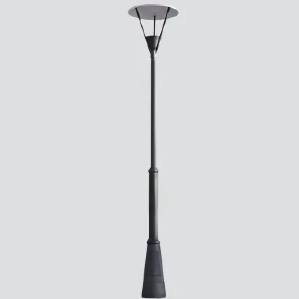 Vela 9000F/WC5.NB-Urban Lighting - Street light pole - Built-in driver