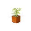 Stilo Planter
