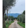 iSSL Maxi Road