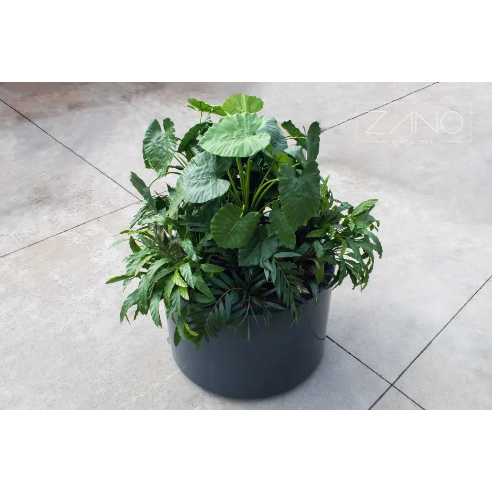 Planter Universe