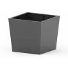 Tulip Planter