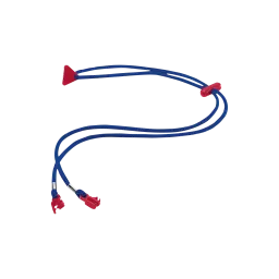 Eyewear cord for all uvex eyewear duo-flex, soft temples, 9161/9165 standard