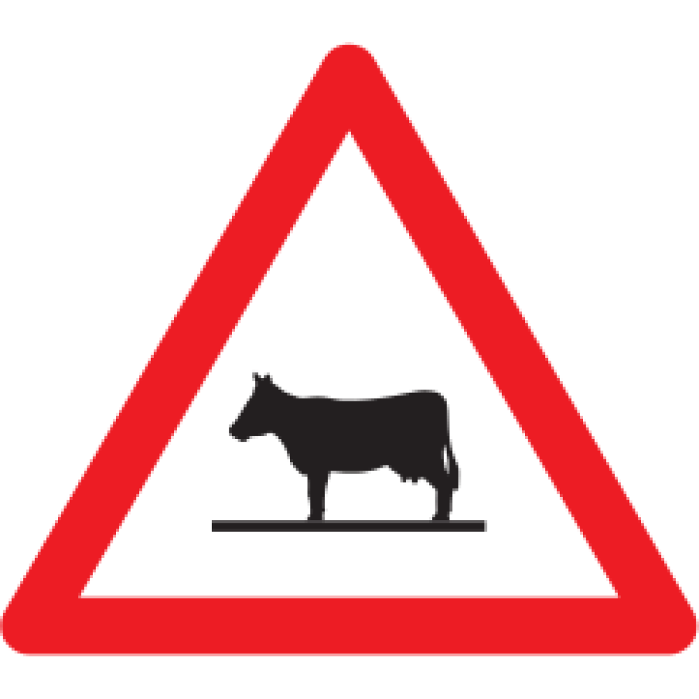 1.25 Animals