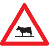 1.25 Animals