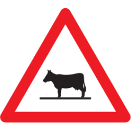 1.25 Animals