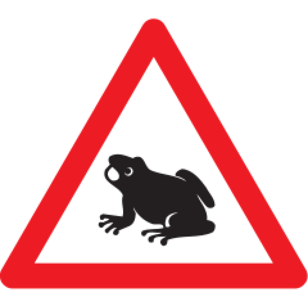 1.25 Animals