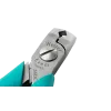Pointed cutter, angled, wide and robust head