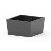 Tulip Planter