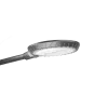 Paceo Duo