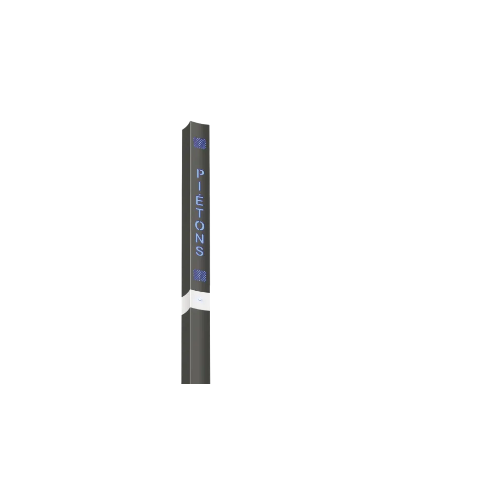 S-Pass+