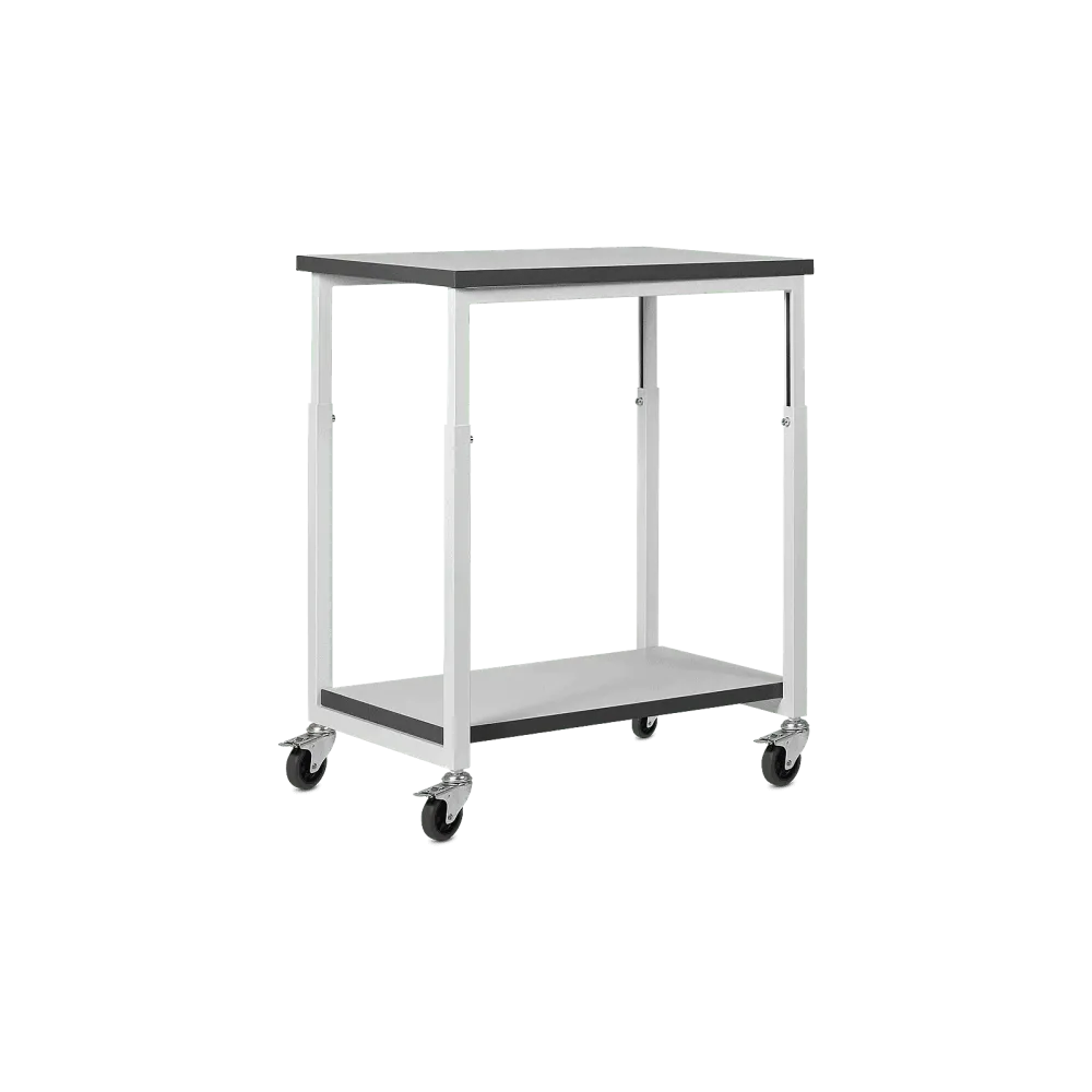 ESD Classic trolley with 2 shelves