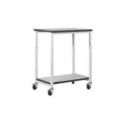 ESD Classic trolley with 2 shelves