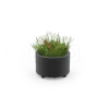 Planter Universe