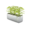Stilo planter