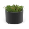 Planter Universe
