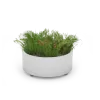 Planter Universe