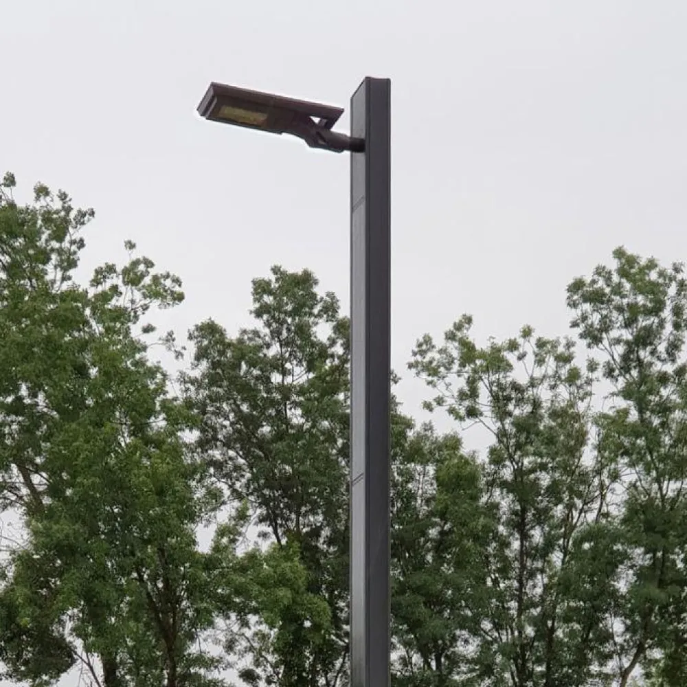 Straight + Luminaire