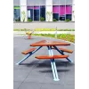 Mars Picnic Table