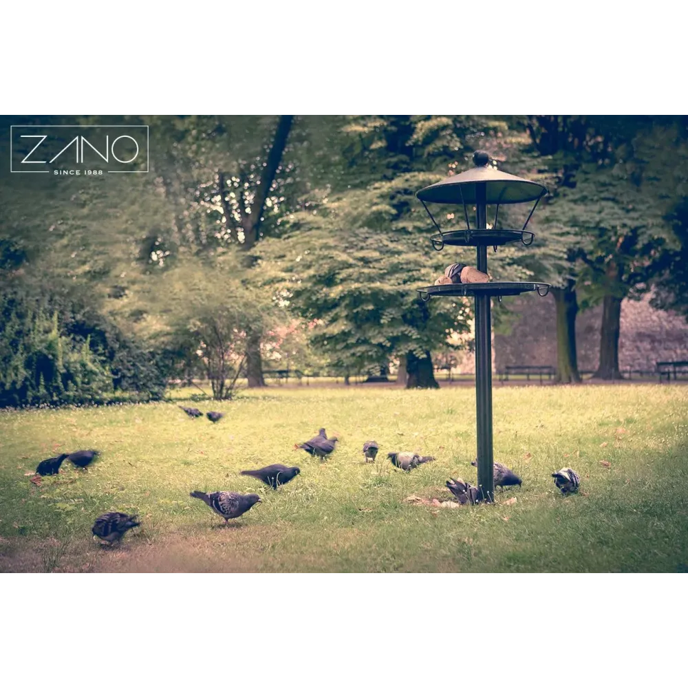 Bird feeder