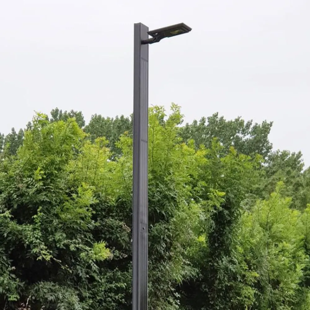 Straight + Luminaire