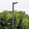 Straight + Luminaire