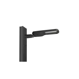Straight + Luminaire