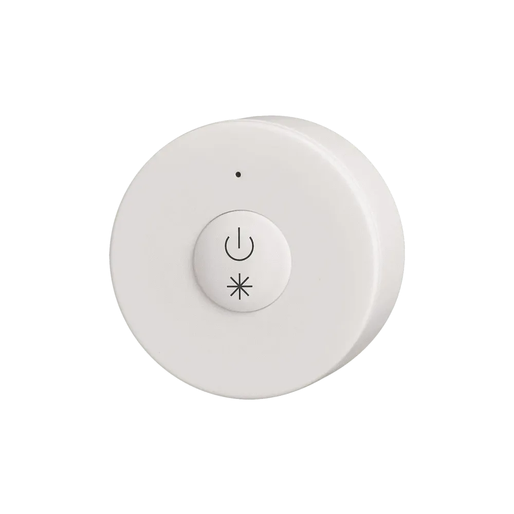 RF remote control, single color, white