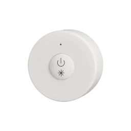RF remote control, single color, white