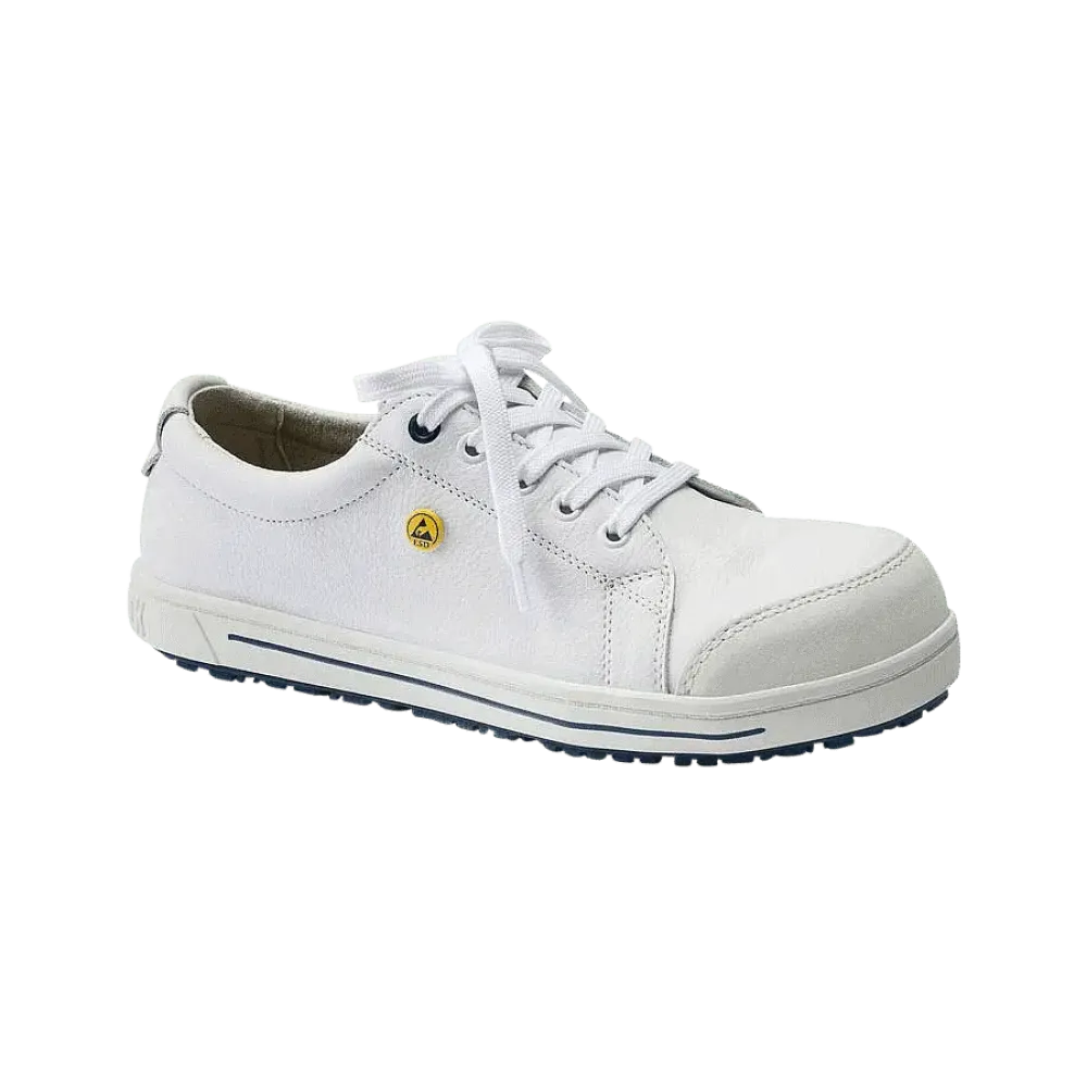 ESD safety shoe 