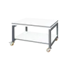 ESD-reinforced Classic trolley